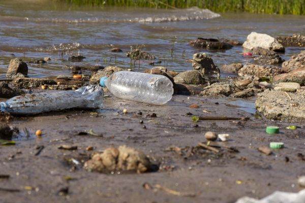 Ministry of the Environment, summoned by 52 NGOs to implement a program for water sanitation