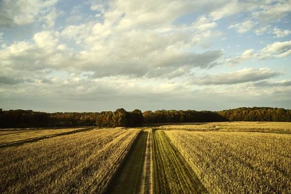 Corteva Agriscience - creştere cu 23% a afacerilor în 2023