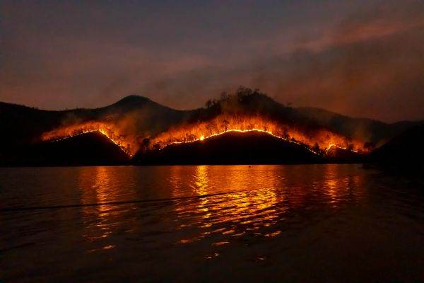 The planet, under the onslaught of fires