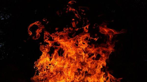 Forest fund: The number of fires increased sevenfold
