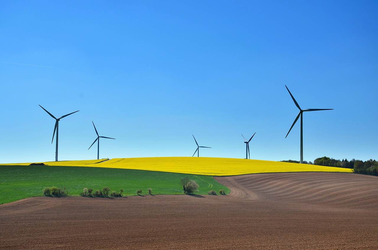 China îşi exprimă disponibilitatea de a colabora cu Marea Britanie în domeniul dezvoltării ecologice 