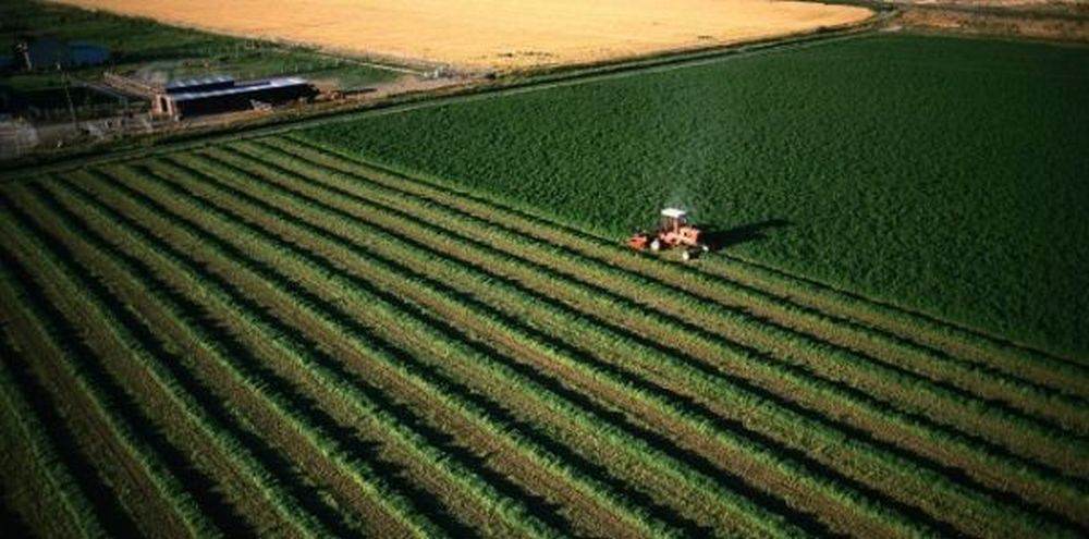 ADS a reziliat 16 contracte de arendă şi concesiune pentru peste 1.500 de hectare de teren agricol, din cauza datoriilor