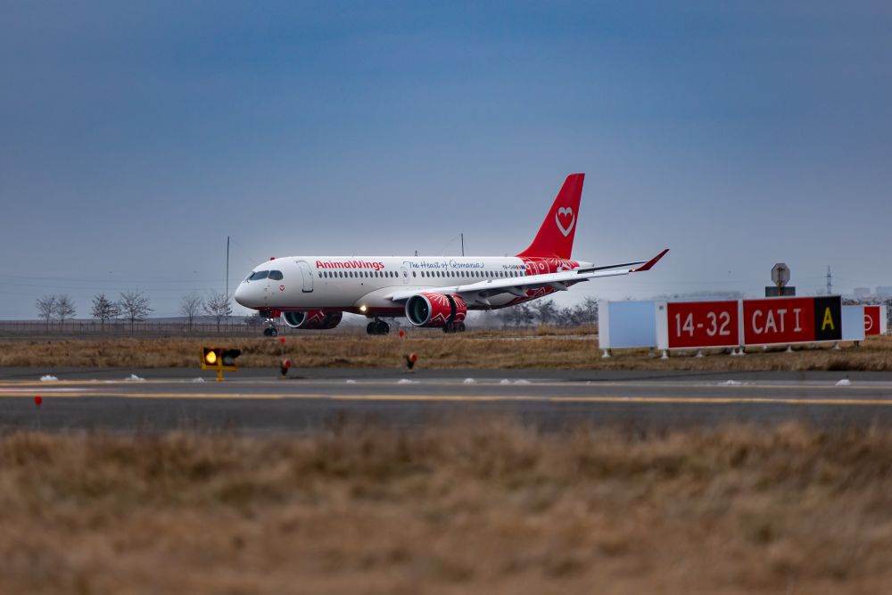 AnimaWings introduce aeronavele Airbus A220-300: un pas important în extinderea reţelei de zboruri