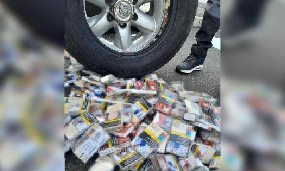 Ţigarete de contrabandă, descoperite cu ajutorul unui câine specializat în detectarea produselor din tutun