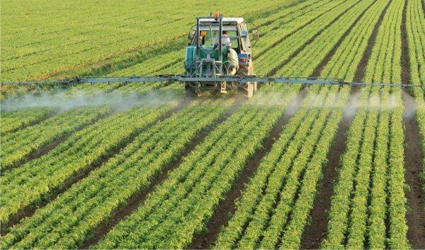 DN Agrar estimates increasing revenues and profits for this year 