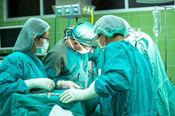 Reuşită ştiinţifică: primul transplant de ficat de porc la om