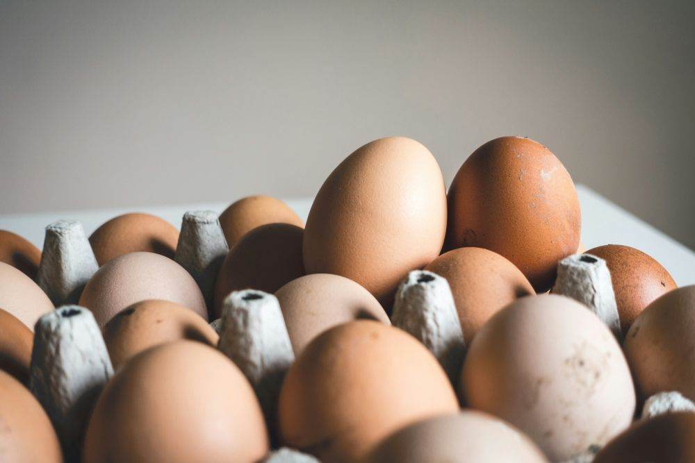 Agroland anunţă creşteri semnificative în producţia de furaje şi ouă de consum 