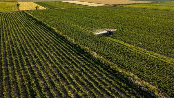 Study: Agricultural land contaminated with heavy metals - over 1 billion people at risk