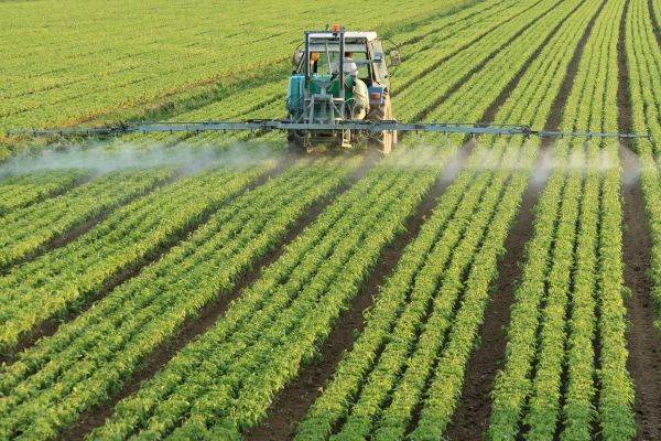 Continuitatea activităţii Chromosome Dynamics, pusă sub semnul întrebării de auditor; ce spune conducerea societăţii? 