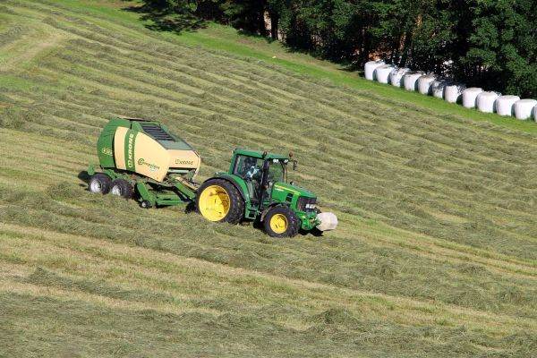 Solid agricultural production in 2024