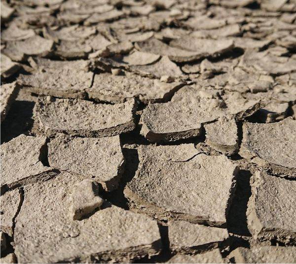 Anglia se confruntă cu cea mai secetoasă primăvară din ultimele şapte decenii: riscul unei crize de apă creşte