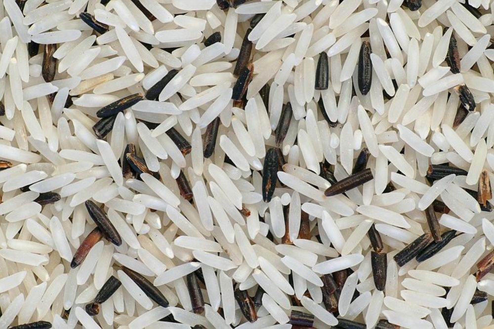 Ministrul japonez al Agriculturii demisionează în urma unei gafe cu privire la orez, aliment de bază care a ajuns la un preţ istoric