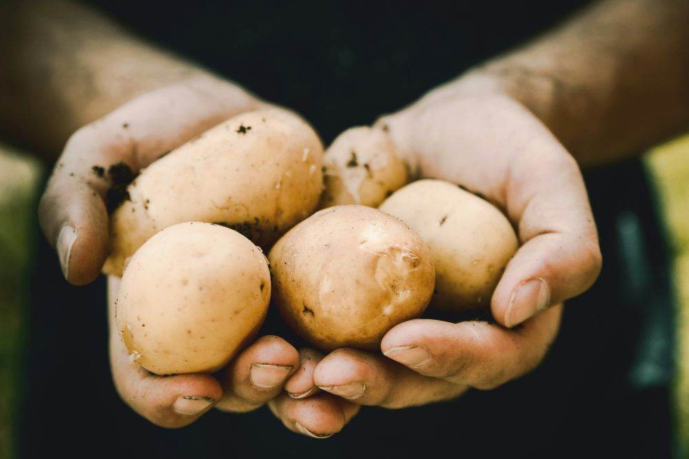 Sursa foto: Unsplash
