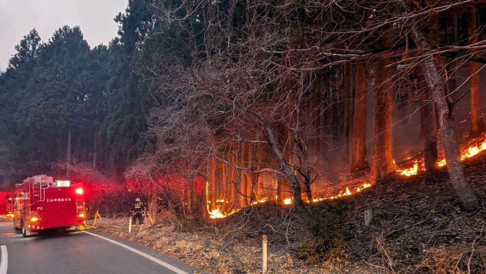 Incendiile de pădure se apropie de Vancouver: 3,5 milioane de hectare au fost distruse