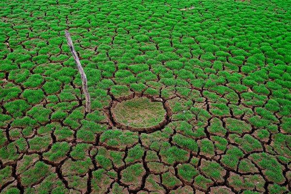 WHO, pan-European commission to combat the effects of climate change on health
