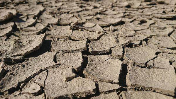 OECD: Drought-affected area doubled in last century