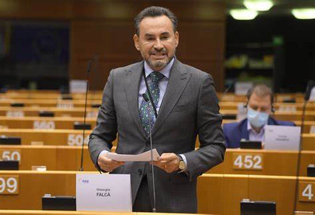 Gheorghe Falcă susţine investiţiile în infrastructura duală şi mobilitatea militară prin Planul ReArm Europe