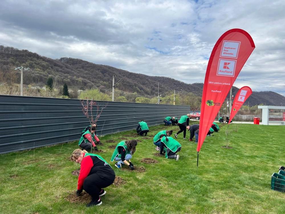 Kaufland continuă plantarea de mini-păduri urbane în România