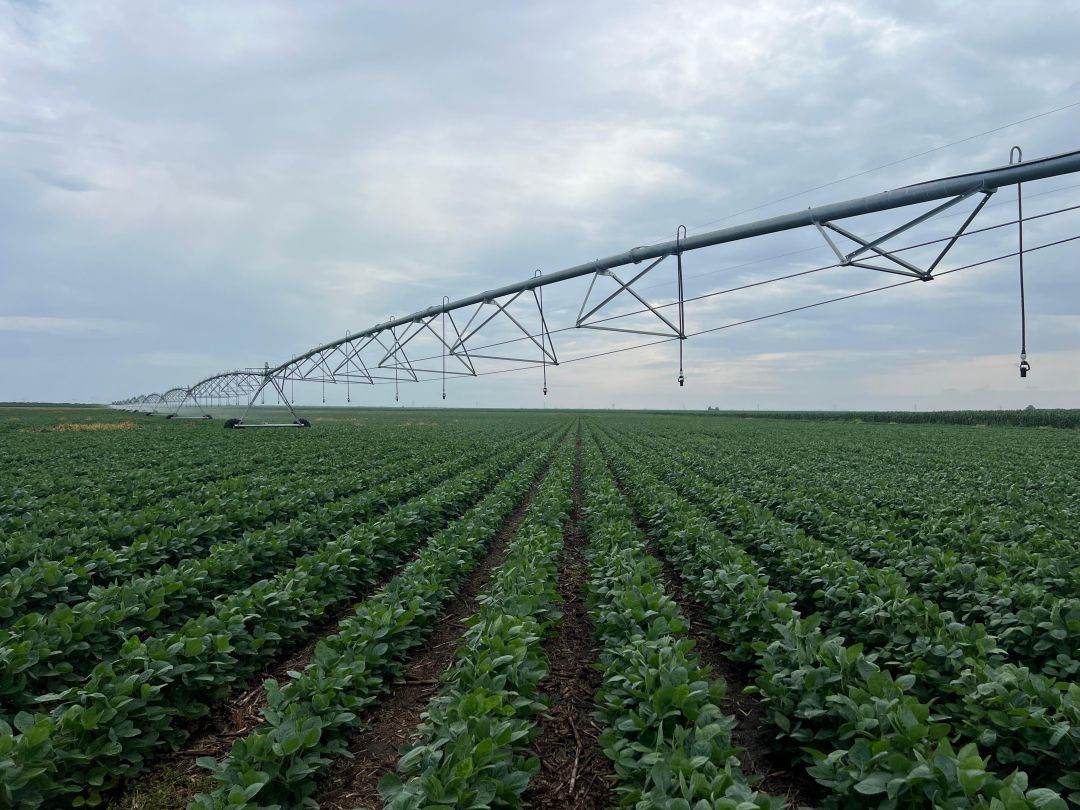JD Agro Cocora a investit 2,5 mil. euro într-un sistem modern de irigaţii pentru ferma din Ialomiţa