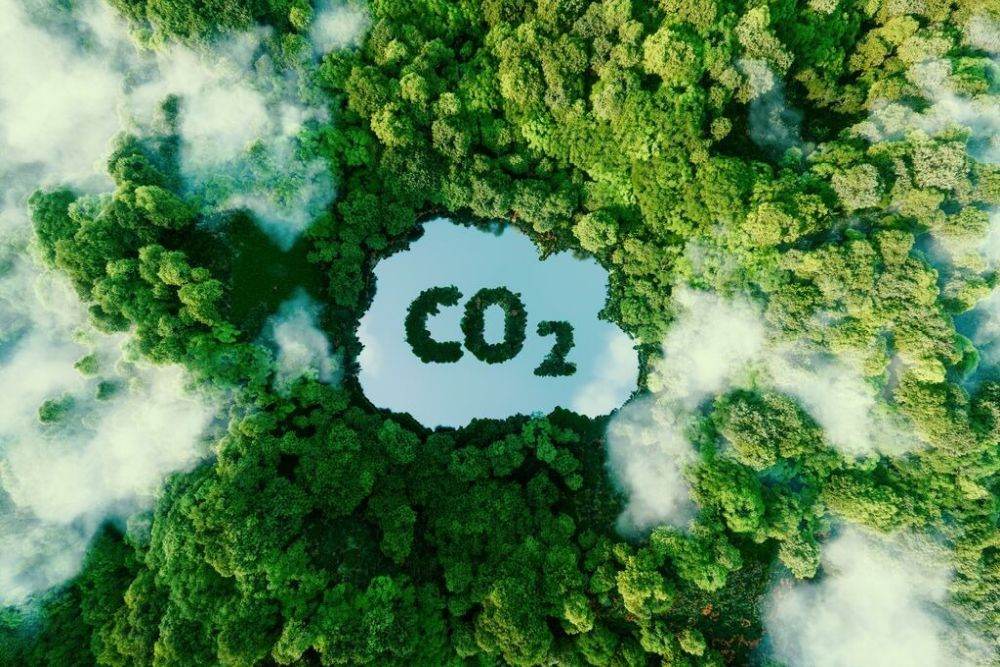 SGS contribuie la un viitor mai verde prin reducerea amprentei de carbon