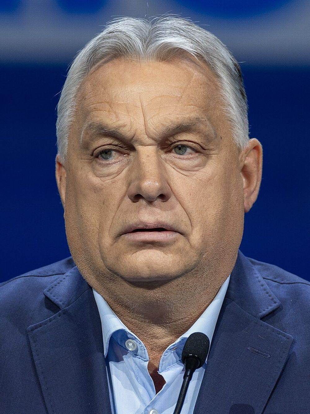 Sursă foto: Wikipedia