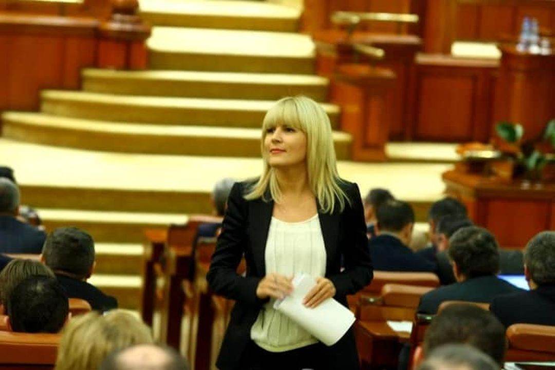 Elena Udrea, despre dosarul penal al lui Florian Coldea: „Fiecare va plăti pentru faptele sale”