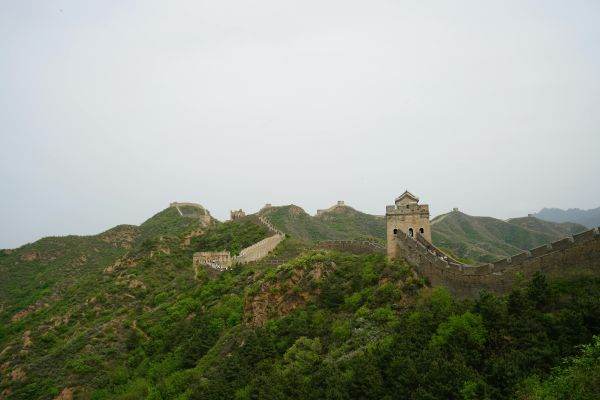 China's "Green Wall" Causes Waves of Allergies