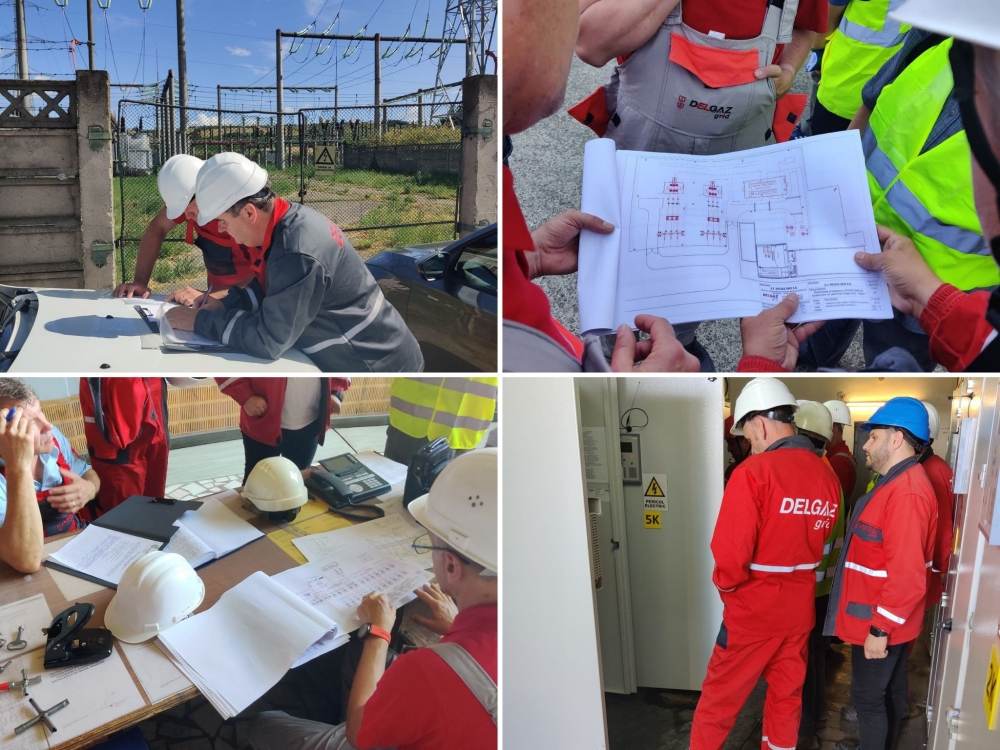 Delgaz Grid începe modernizarea a şapte staţii de transformare din judeţele Suceava şi Neamţ