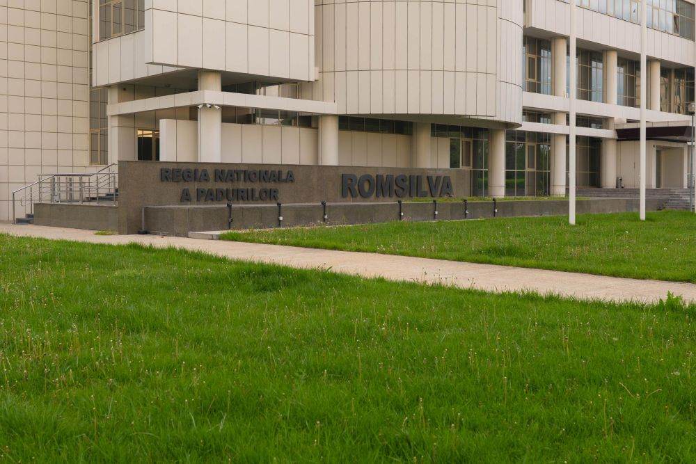 Romsilva avertizează asupra riscului de blocaj în implementarea PNRR din cauza întârzierii plăţilor de la Ministerul Mediului