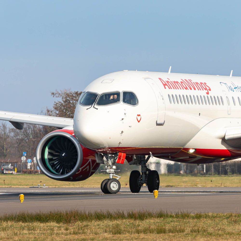 AnimaWings lansează zboruri directe către Istanbul din cinci oraşe ale ţării noastre