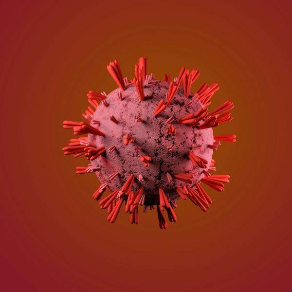 College of Physicians: "There is no vaccine shedding in anti-COVID vaccines”