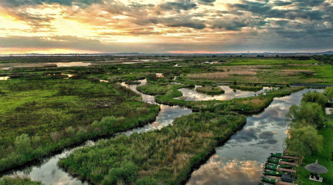 OMD: Războiul declanşat de Rusia în Ucraina a scăzut numărul turiştilor din Delta Dunării