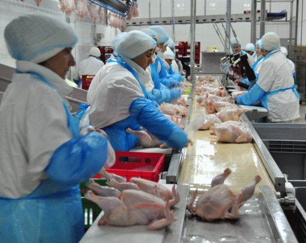 UE redeschide piaţa pentru carnea de pui din Brazilia, după epidemia de gripă aviară din mai