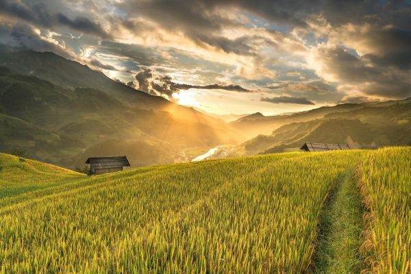 TradeVille: Norofert îşi revine după trei ani agricoli dificili