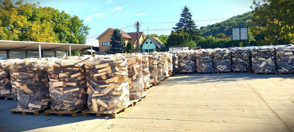 Romsilva oferă populaţiei, în acest an, aproximativ 2 milioane de metri cubi de lemn pentru foc