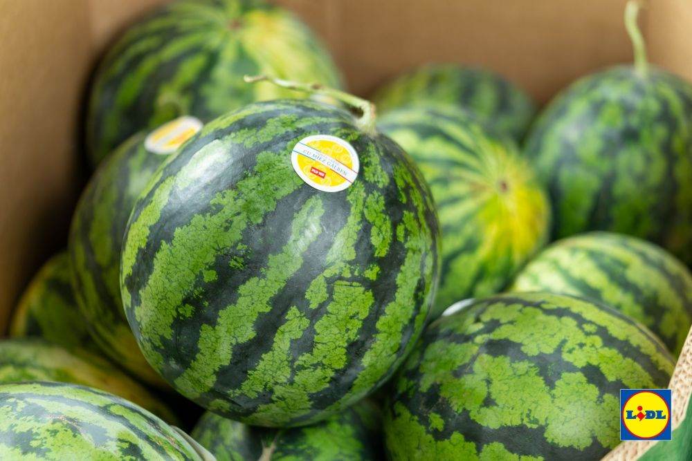 Lidl România susţine exporturile agricole, cu peste 1.400 de tone de fructe româneşti livrate în Europa în vara anului 2025