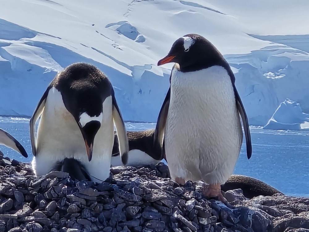 De Black Friday 2025, Eturia mizează pe personalizare şi digitalizare, iar creşterea vânzărilor este estimată la 25%