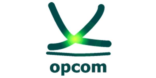 ANUNŢ DE SELECŢIE PENTRU POZIŢIA DE DIRECTOR ECONOMIC AL SOCIETĂŢII OPERATORUL PIEŢEI DE ENERGIE ELECTRICĂ ŞI DE GAZE NATURALE "OPCOM” S.A.