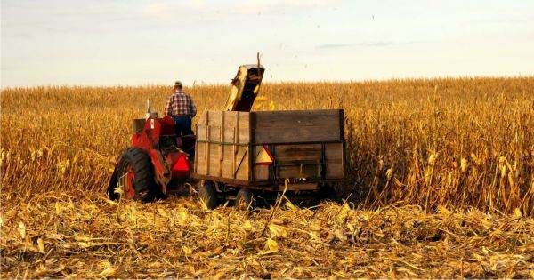 Tanczos Barna:  and #8221;Agricultura are nevoie imediat de o rectificare bugetară and #8221;