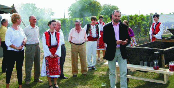Ghenadie Bobeica, administratorul "WineRo", în cadrul primului cules de la Aliman.