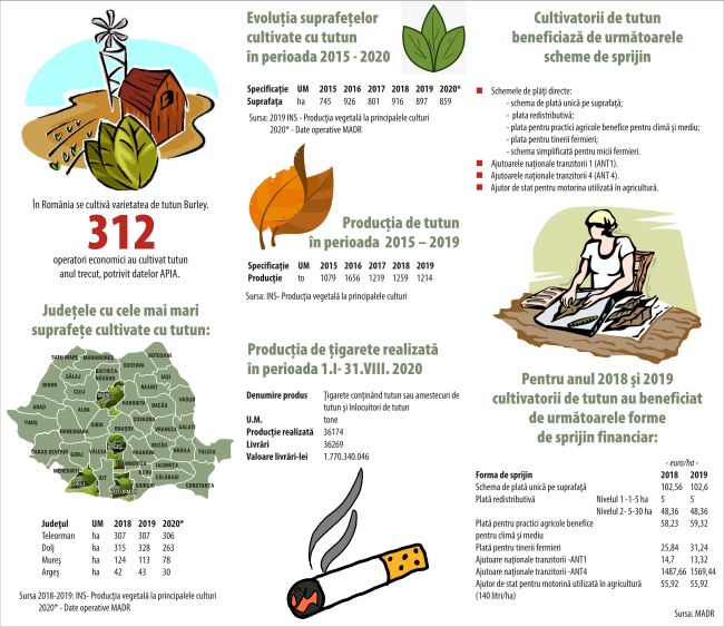 Peste 6,5 miliarde lei - încasările din accize la produsele din tutun
