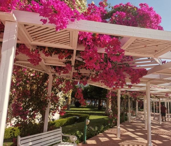 Statul egiptean investeşte 32 miliarde dolari în dezvoltarea turismului