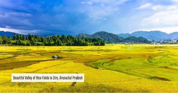 Descoperiţi India! Oportunităţi economice în ARUNACHAL PRADESH
