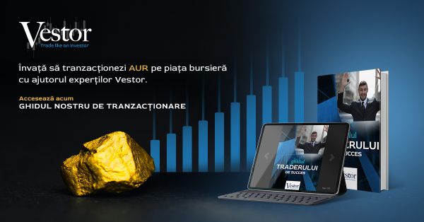 Învaţă de la traderi cu experienţă prin Vestor