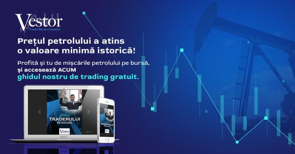 Învaţă de la traderi cu experienţă prin Vestor