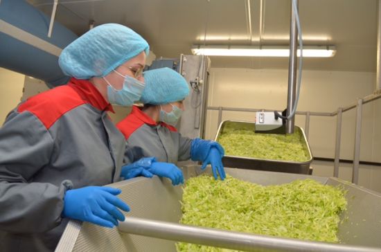Eisberg a încheiat 2020 cu o cifră de afaceri de 11 milioane euro