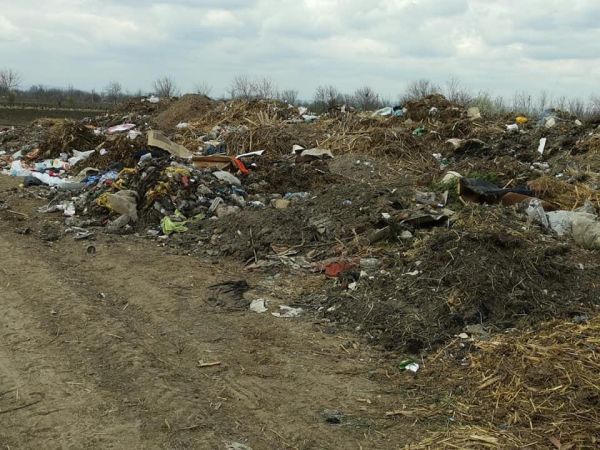Primării şi agenţi economici, amendaţi de Garda de Mediu din cauza gunoaielor