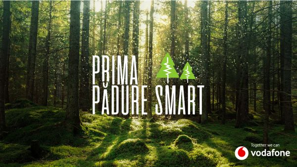 Transformarea digitală contribuie în mod esenţial la transformarea ecologică