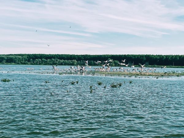 O zi cât o vacanţă în Delta Dunării