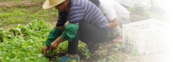 "Peste un milion de producători agricoli mici şi foarte mici au nevoie de microfinanţare"